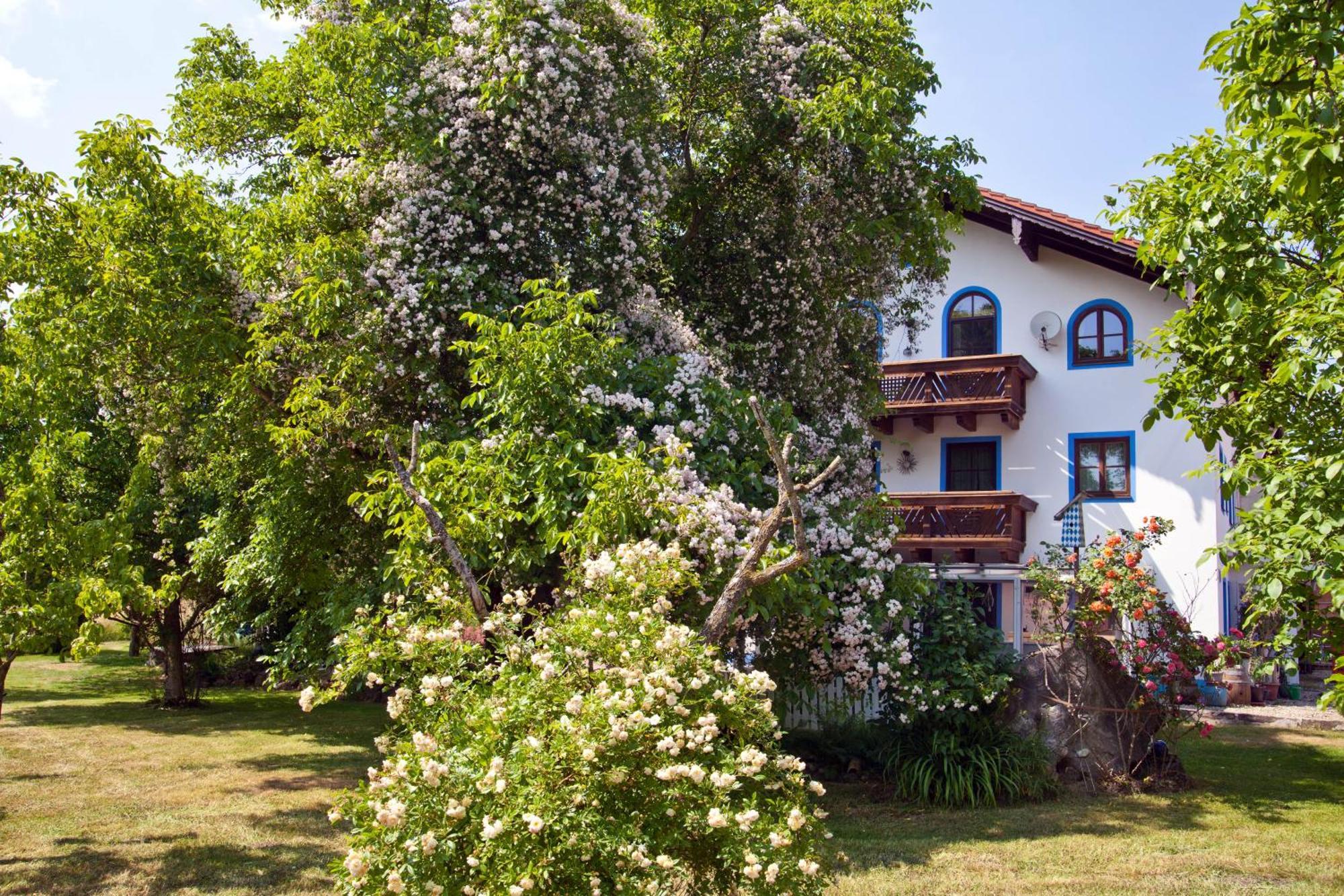 Ferienwohnung Moierhof Palling Екстер'єр фото